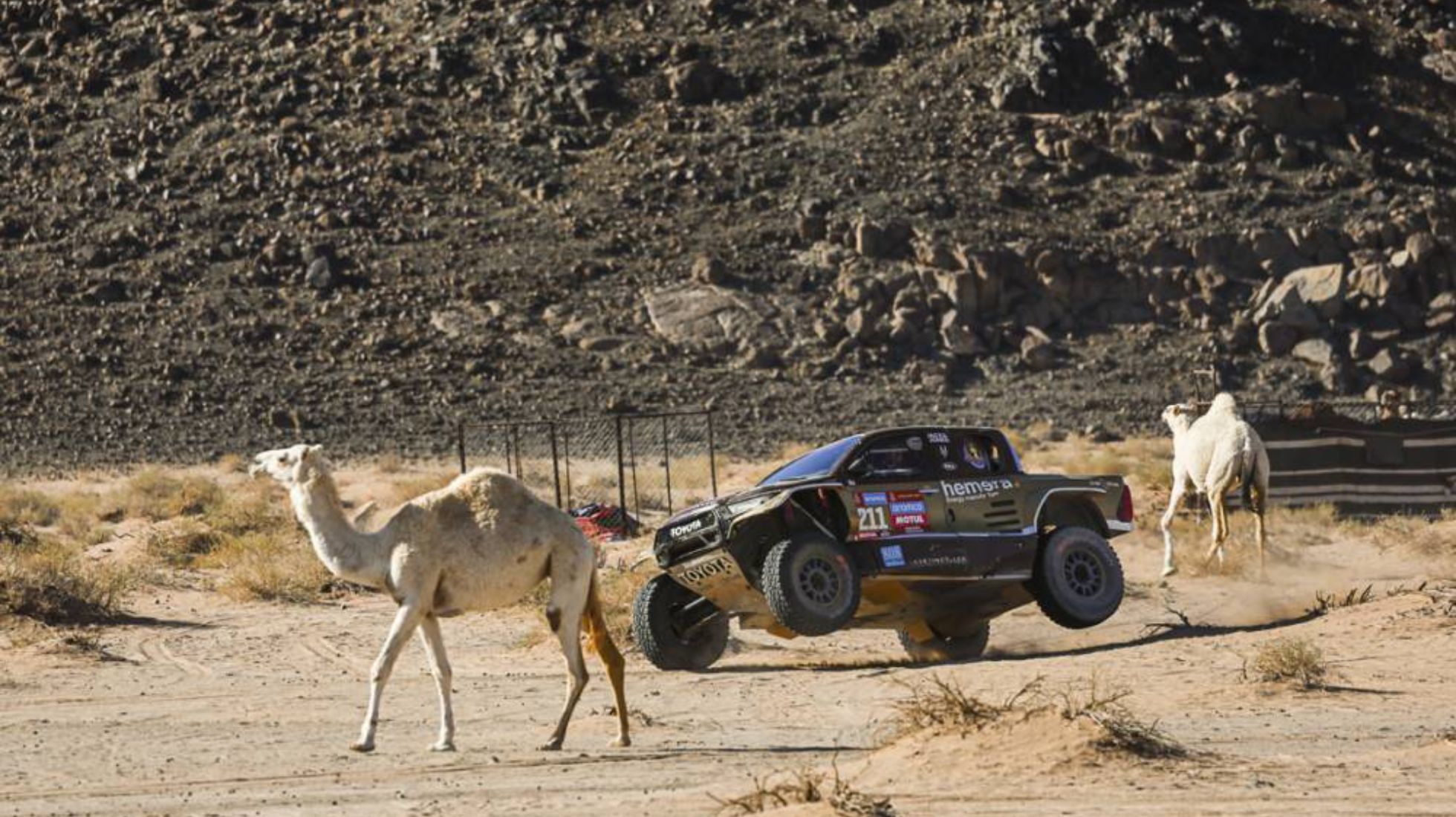 65ae186fddf21259e40035c3_Dakar-Stage-11-TopGearSA-Two-Wheels-with-camels.jpg