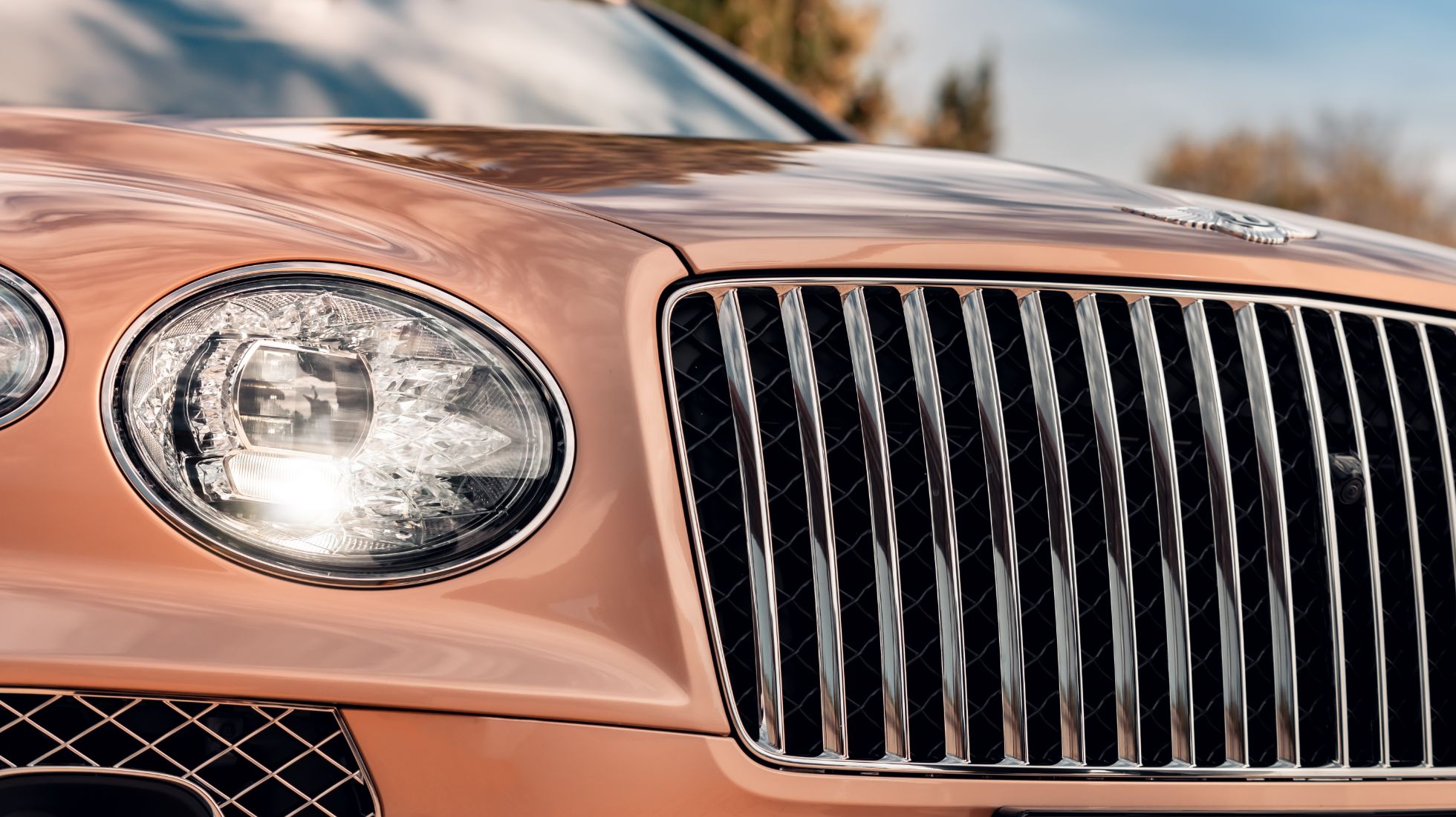 627b5e383a6e4fae34cbf12a_Bentley-Bentayga-EWB-TopGear-SA-Grille.jpg