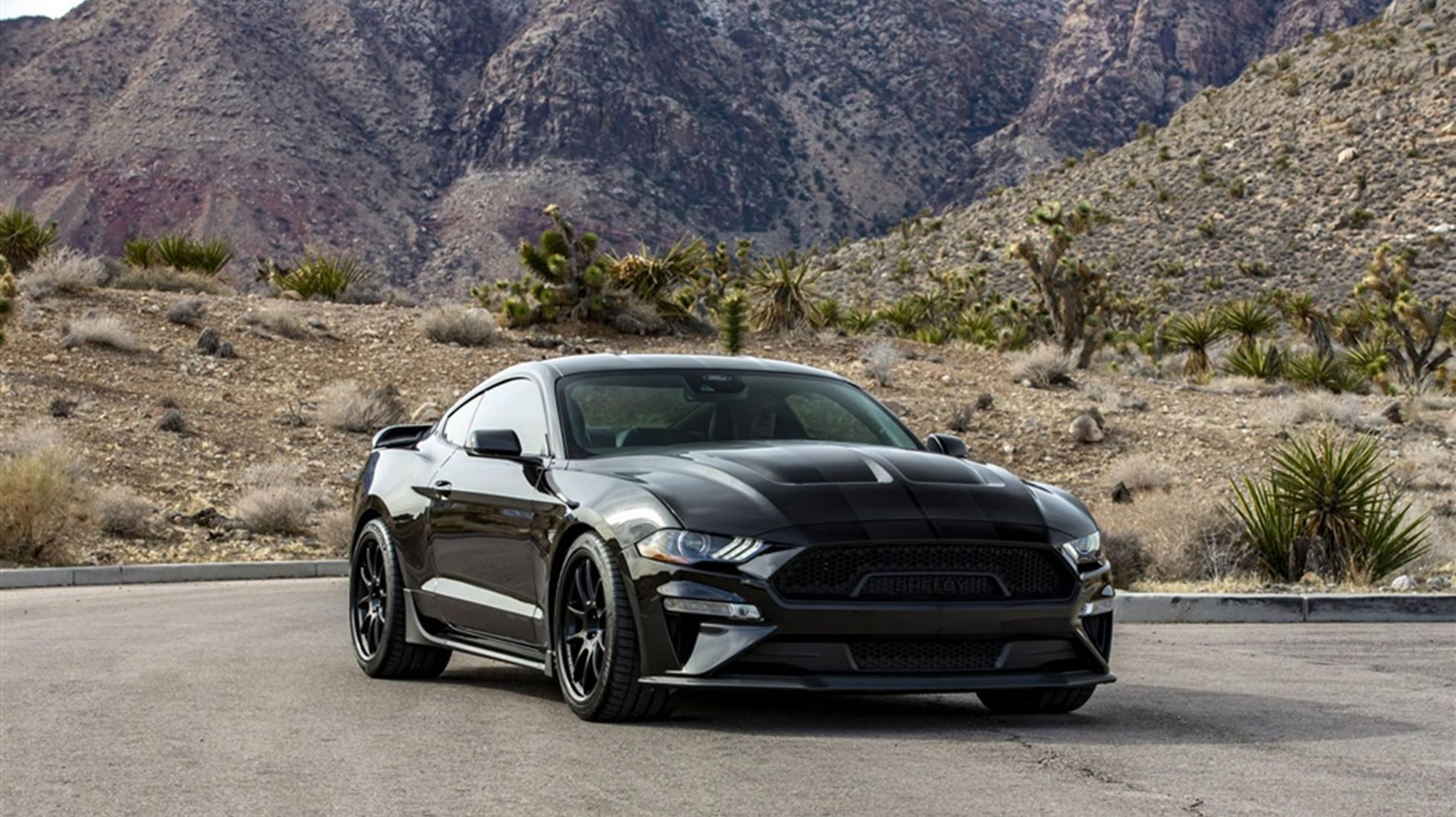 Shelby Founder Honored with Centennial Edition