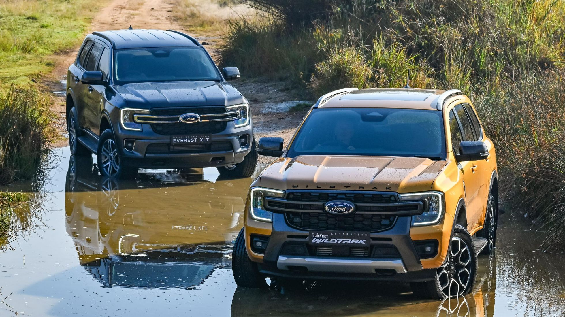 First Drive: Ford Everest Wildtrak & XLT