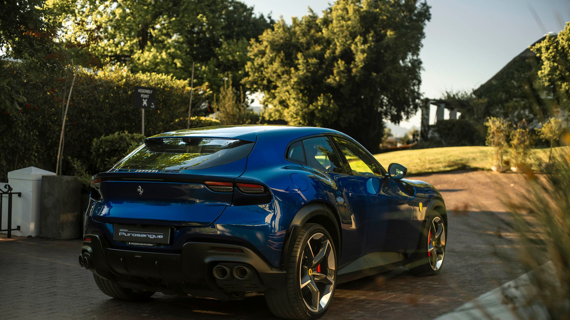 Rari-0009