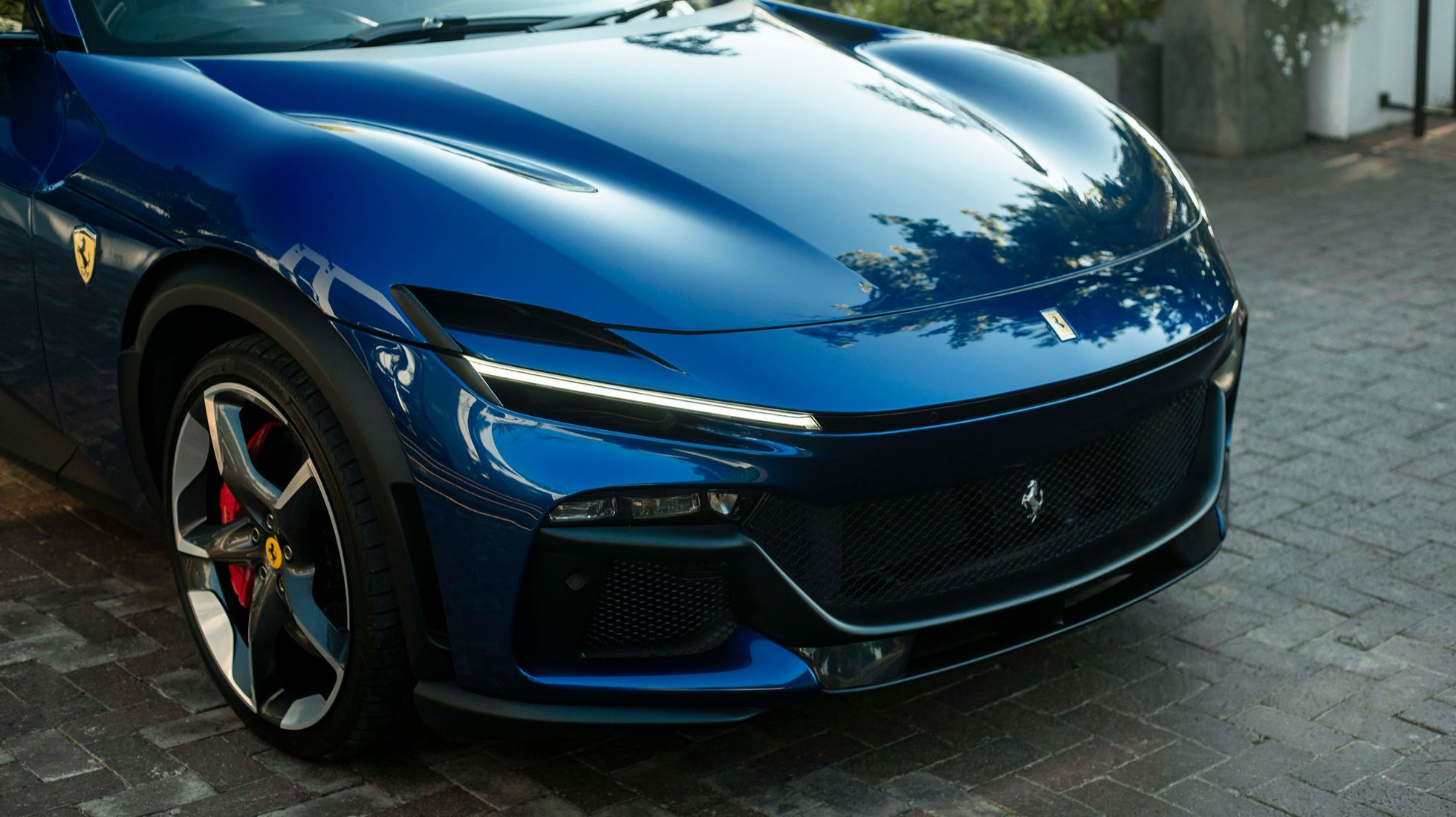 Rari-0012